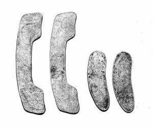LATEST RAGE 430003: SPINDLE GUSSET KIT