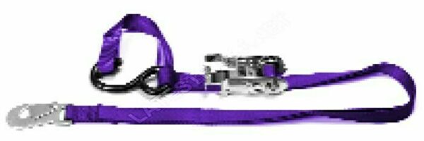 LATEST RAGE TIEDOWN-1R: TIE DOWN/ 1in STRAP/ EACH
