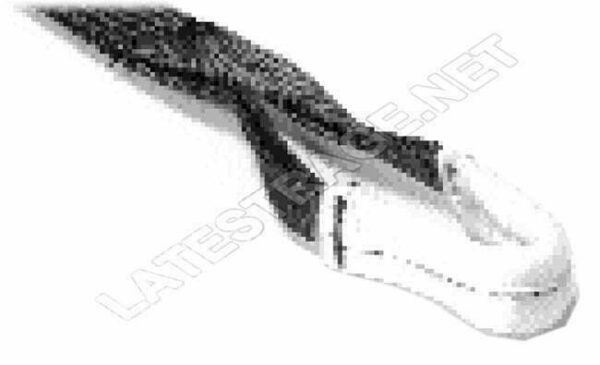 LATEST RAGE TOWSTP-25L: TOW STRAP/ 2-1/2in X 13ft WITH LOOPS